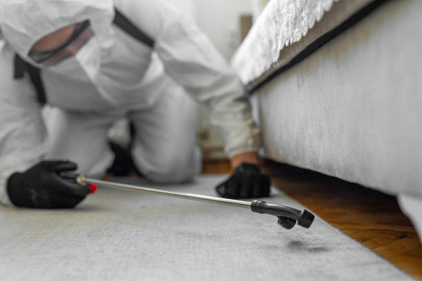 Professional Bed Bug Control technician working in Brices Creek, NC