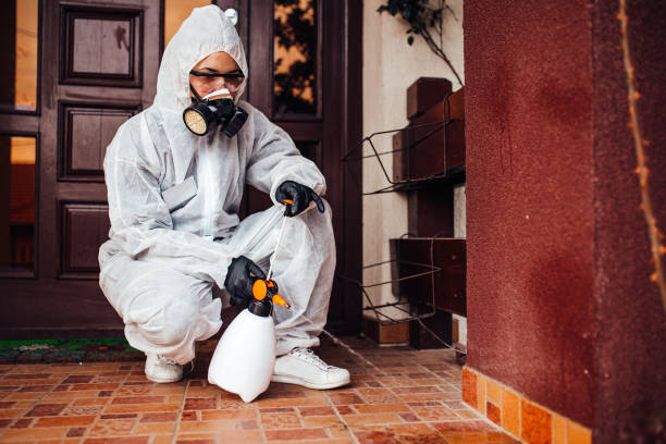 Reliable Bed Bug Control contractor in Brices Creek, NC by Nex Pest Control