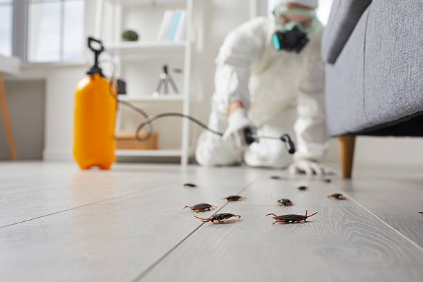 Trusted Fumigation Services service in Brices Creek, NC - Nex Pest Control