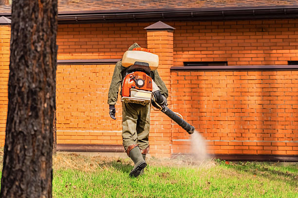 Trusted Cockroach Control service in Brices Creek, NC - Nex Pest Control